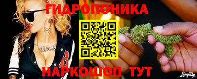 ПСИЛОЦИБИНОВЫЕ ГРИБЫ Балахна