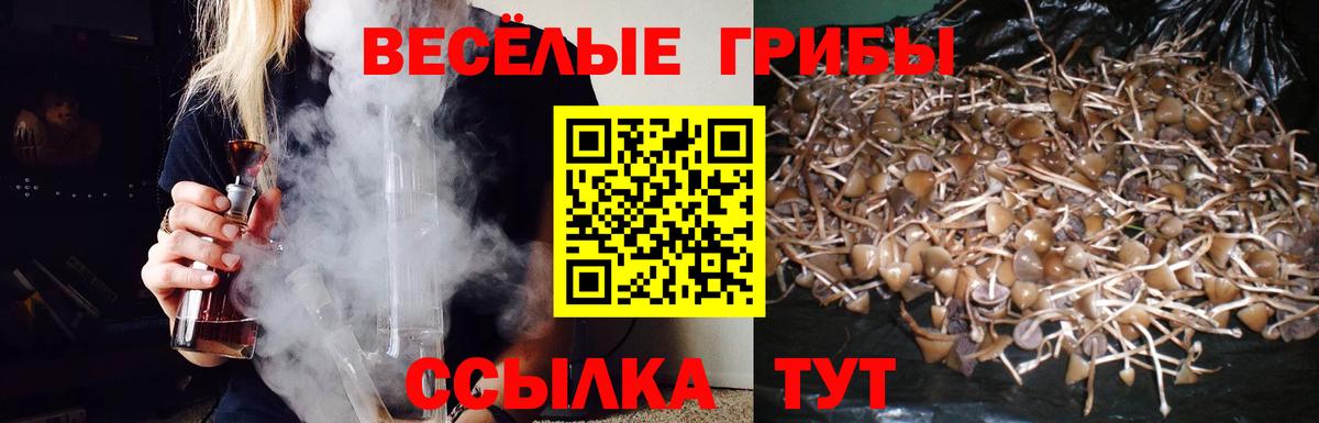 Псилоцибиновые грибы MAGIC MUSHROOMS Губкин