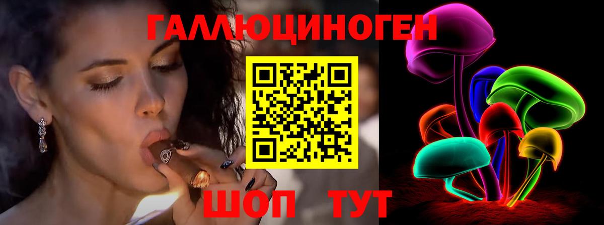 Губкин  Галлюциногенные грибы MAGIC MUSHROOMS  Вход с VPN 