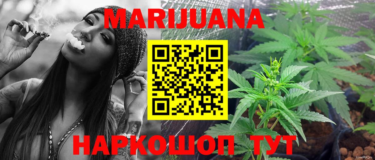 Каннабис планчик Губкин